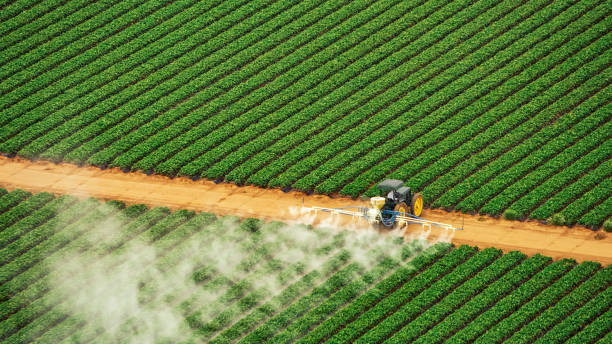Best Mosquito Control Services  in Sonora, CA