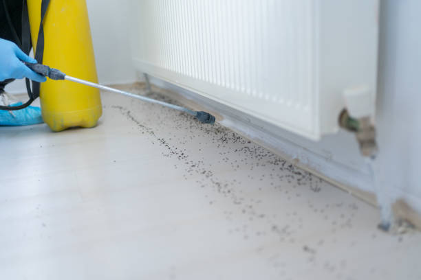 Best Cockroach Control Services  in Sonora, CA