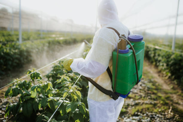 Best Pest Prevention Services  in Sonora, CA